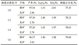 �Ÿ�Ӧǿ��ʵ����