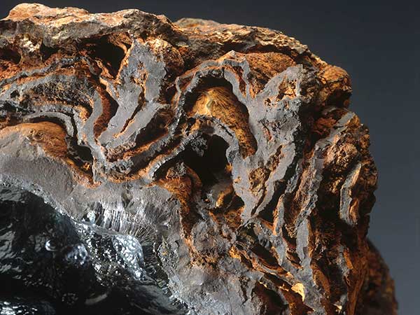 ������ʵ��ͼ