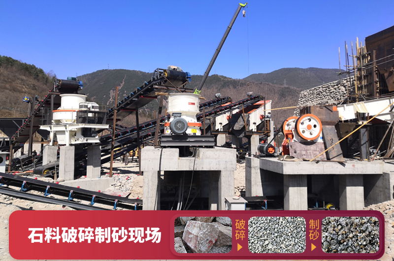 ʯ�������һСʱ������ʯ�ӣ�100t/h�ļ۸����