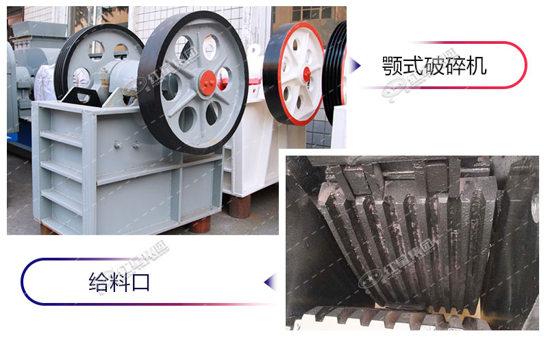 ���ϸ��չʾ