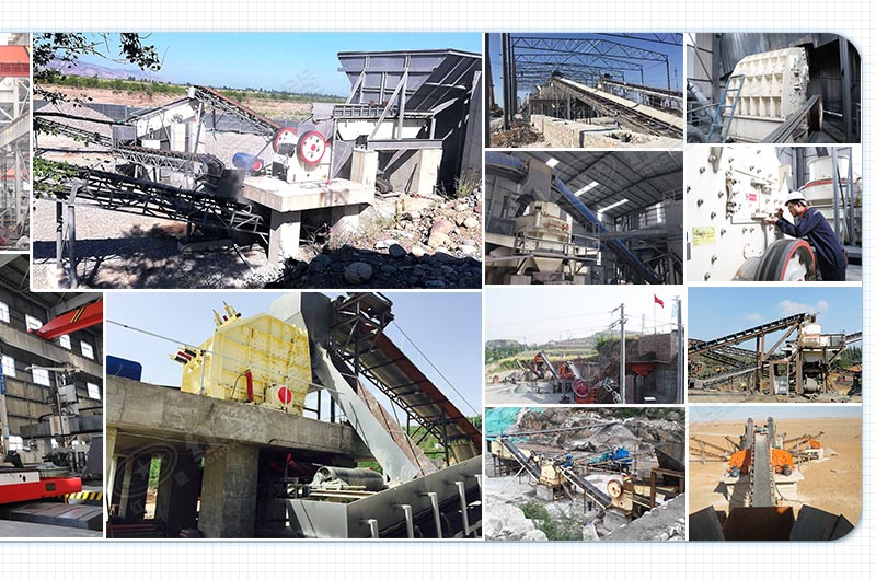 ���ؿ������ɳ���ֳ�����